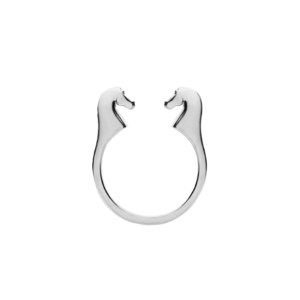 Кольцо Кони