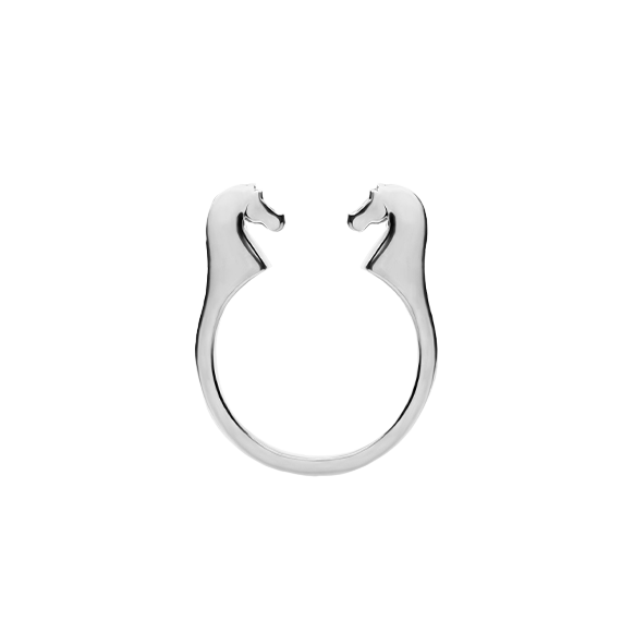 Кольцо Кони