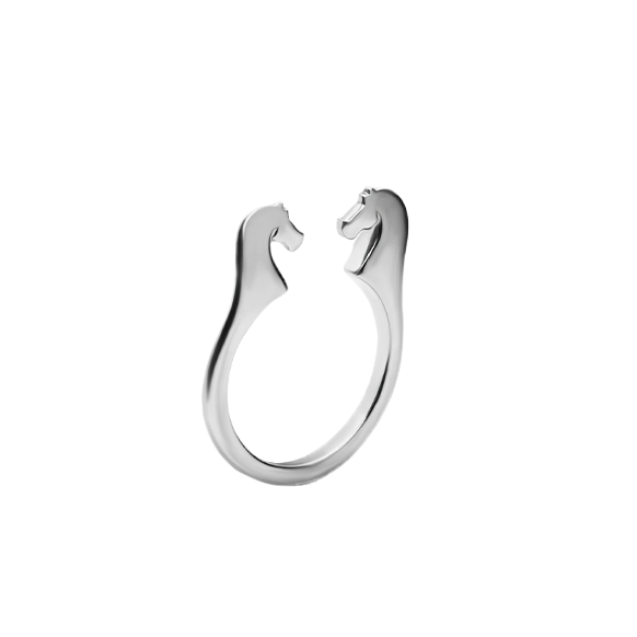 Кольцо Кони