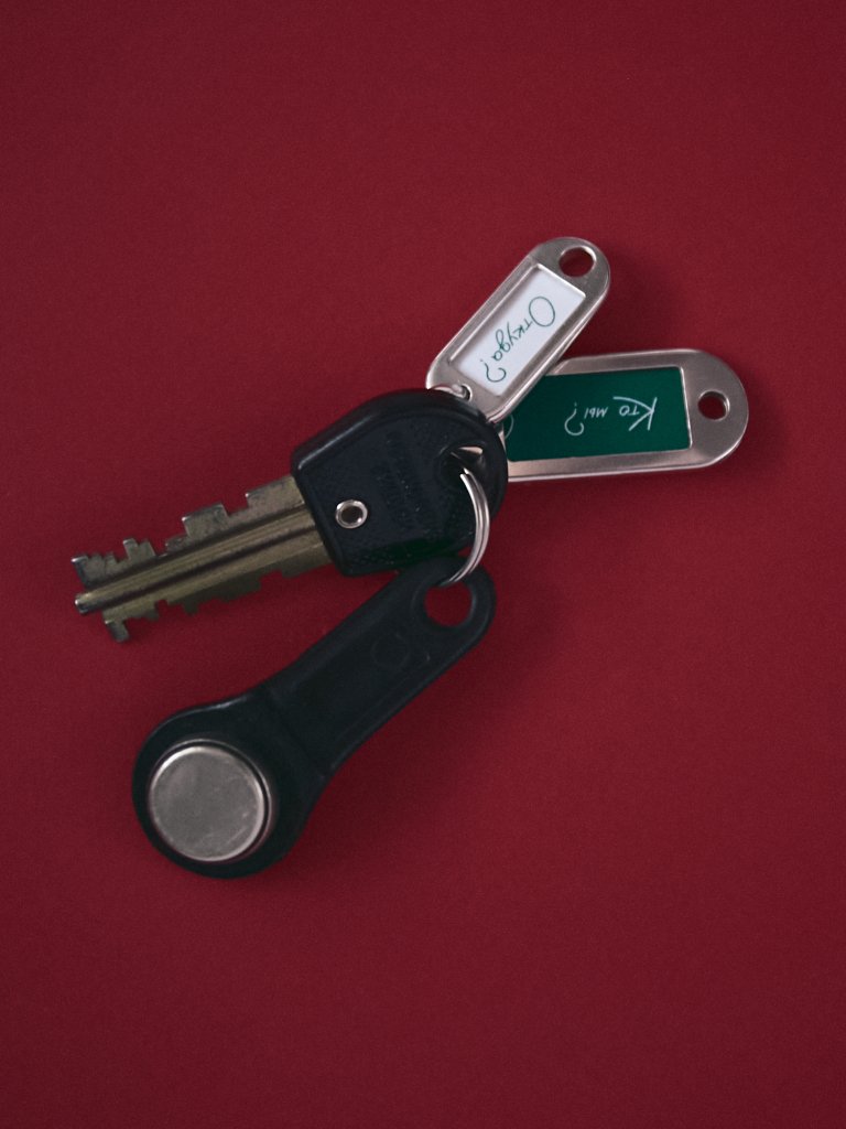 Бирка PROSTO x ATOM L